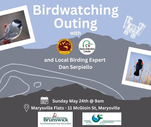 Birdwatching Outing